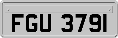 FGU3791