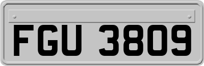 FGU3809