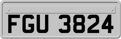 FGU3824