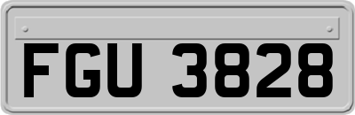 FGU3828