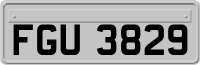 FGU3829