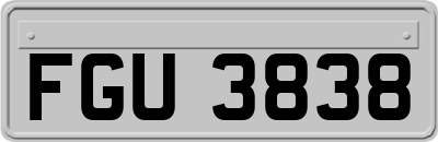 FGU3838