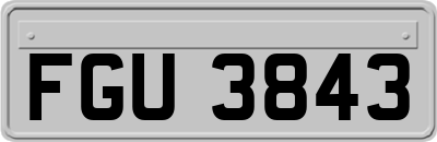 FGU3843