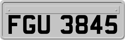 FGU3845