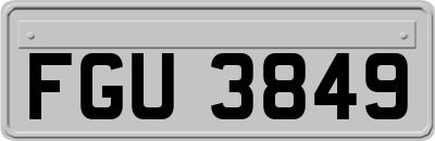 FGU3849