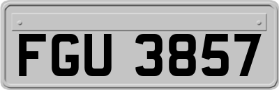 FGU3857