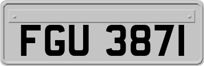 FGU3871