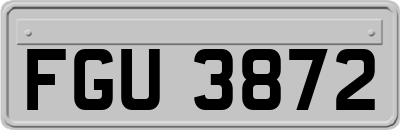 FGU3872
