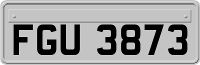 FGU3873