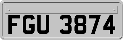 FGU3874