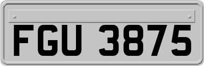 FGU3875
