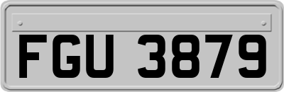 FGU3879