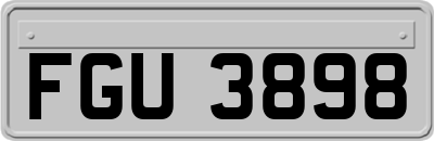 FGU3898