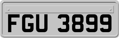 FGU3899