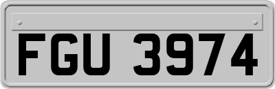 FGU3974