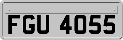 FGU4055