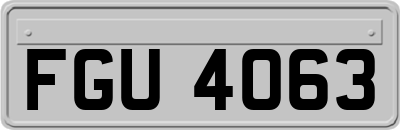 FGU4063