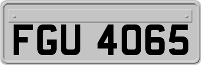 FGU4065
