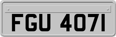 FGU4071