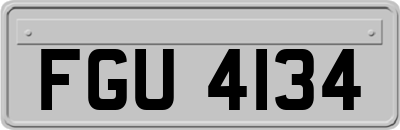 FGU4134
