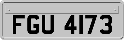 FGU4173