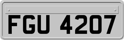 FGU4207