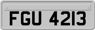 FGU4213