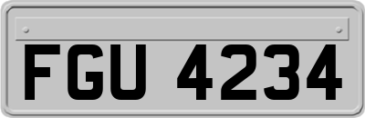 FGU4234