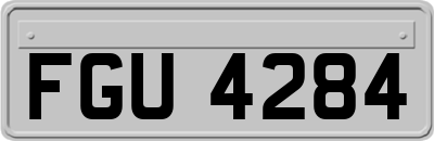 FGU4284
