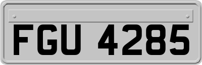 FGU4285