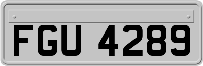FGU4289