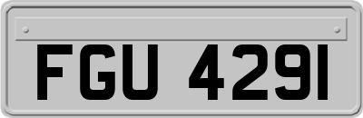 FGU4291