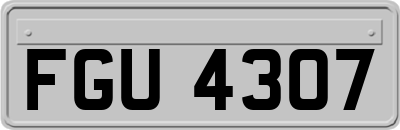 FGU4307