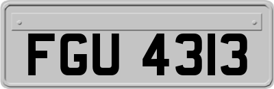 FGU4313