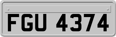 FGU4374