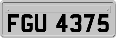 FGU4375