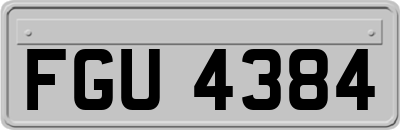 FGU4384