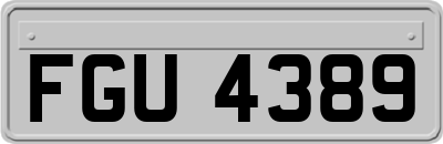 FGU4389