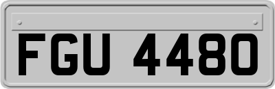 FGU4480