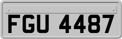 FGU4487