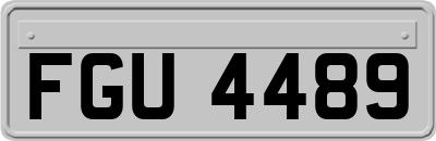 FGU4489