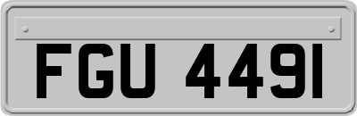 FGU4491