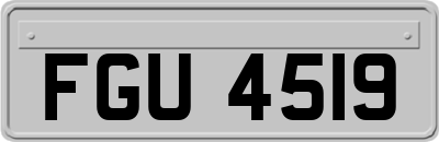 FGU4519