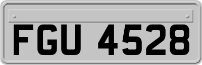 FGU4528