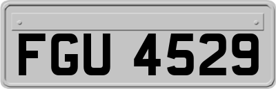 FGU4529