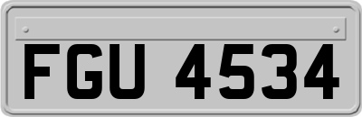 FGU4534
