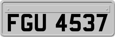 FGU4537
