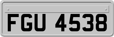 FGU4538