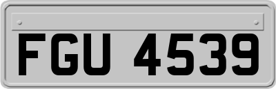 FGU4539