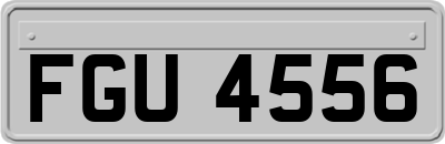 FGU4556